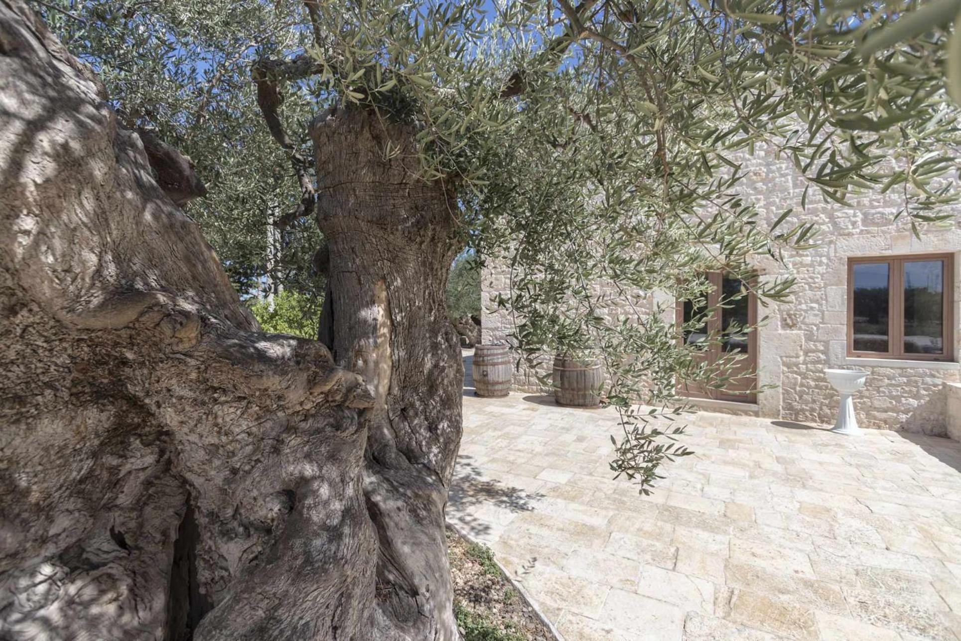 Masseria Fanizzi Conversano Zimmer foto